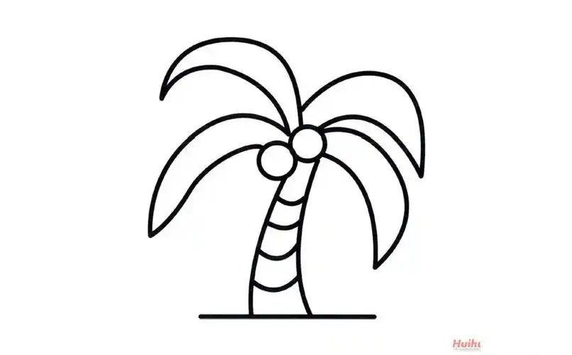 椰子树简笔画画法 椰子树简笔画分步骤详解