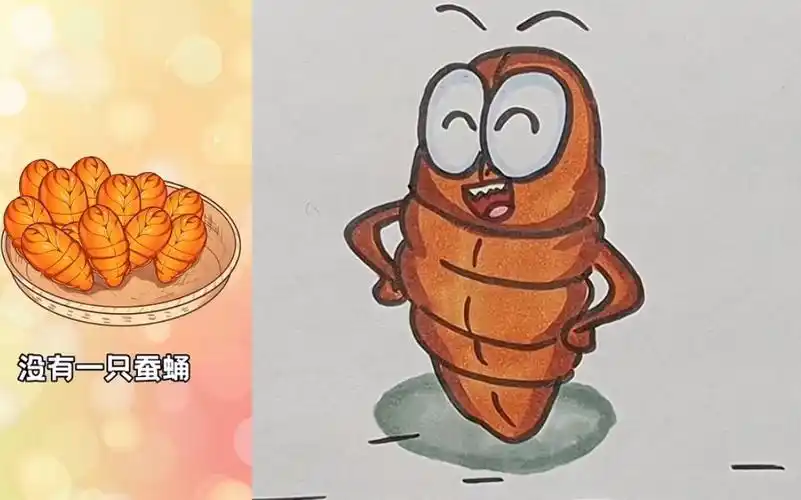 你吃过蚕蛹吗