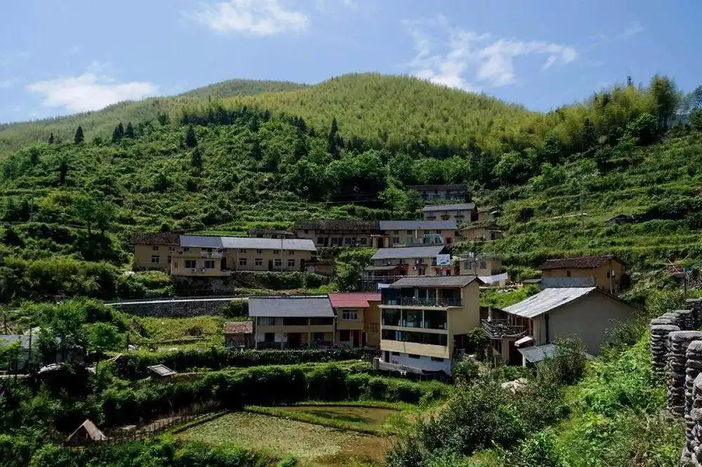 到丽水,用镜头聚焦这里的三农