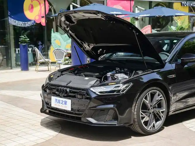 上汽奥迪 奥迪a7l 2023款 45 tfsi quattro s-line 黑武士版