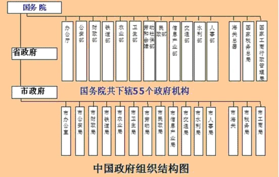 图表 1典型组织结构