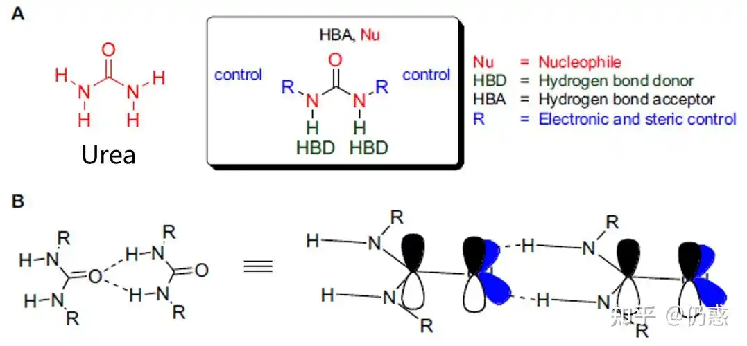 脲结构片段在药物化学中的应用