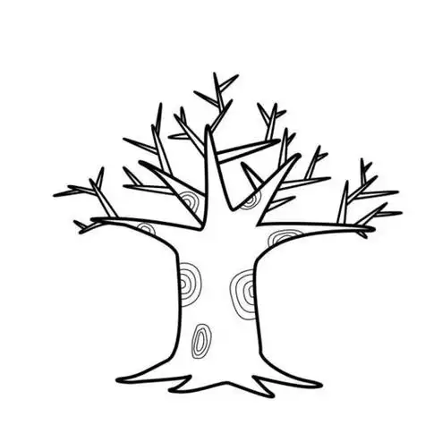 树干纹理简笔画
