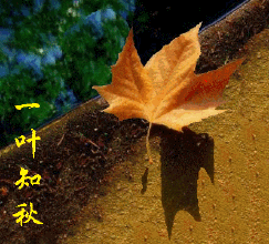 大阳林:我本将心向明月,奈何明月照沟渠-江南燕园-金融界股票论坛