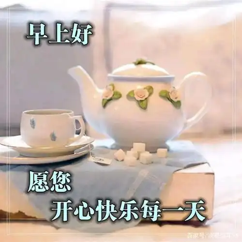 挫折时,从容乐观地面对;失意时,淡然优雅地转身.早安