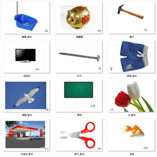 相关关联功能配对自闭症儿童康复训练语言发育玩具挂图