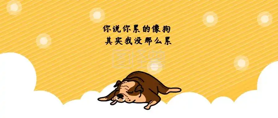 你说你累的像狗 其实我没那么累 开车大神风公众号封面