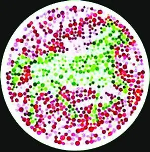 红绿色盲测试图