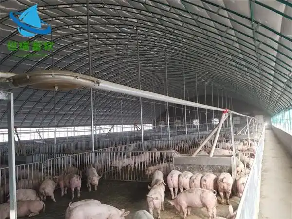 养猪大棚建设 猪场建设 新式养殖大棚