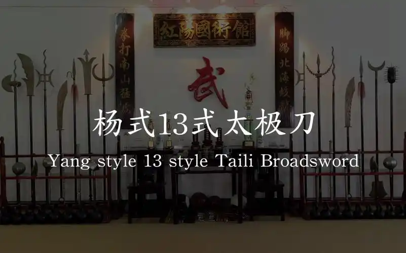 杨式13式太极刀中英文对照