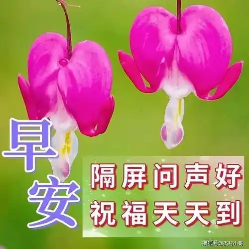 11月14日唯美的早上好图片祝福语,吉祥如意,好运连连来!