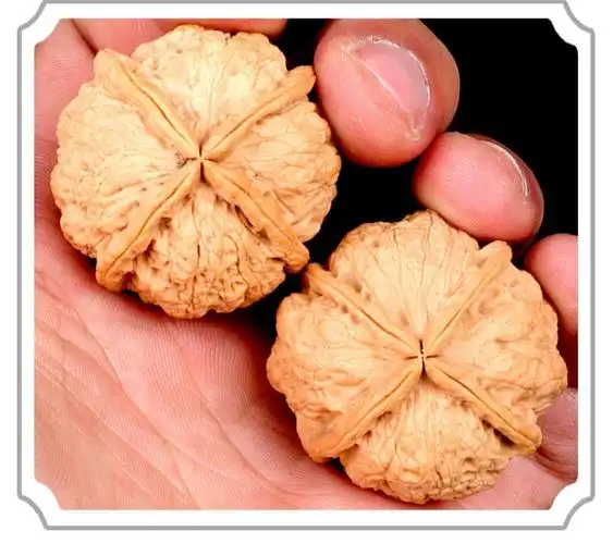 集祥阁 文玩核桃四棱天然采摘男士手把件云南野生铁核桃文玩把玩精品