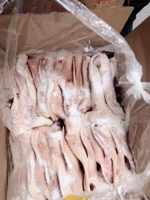 新鲜冷冻纯干猪耳朵生猪耳片20斤25到28片食堂单位猪头肉卤菜火锅