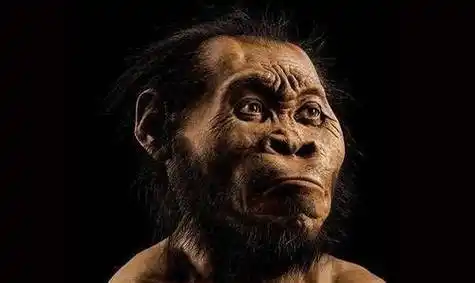 尼安德特人的复仇,和现代人祖先繁衍后代,给人类埋下无尽祸根_智人