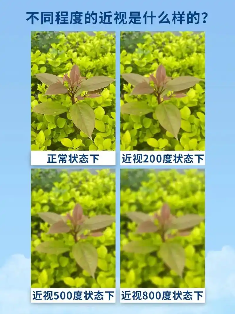 一文整理近视眼中世界长什么样