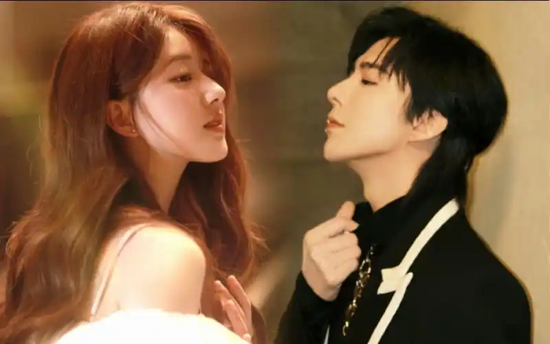 活动作品刘宇宁赵露思午夜场来袭