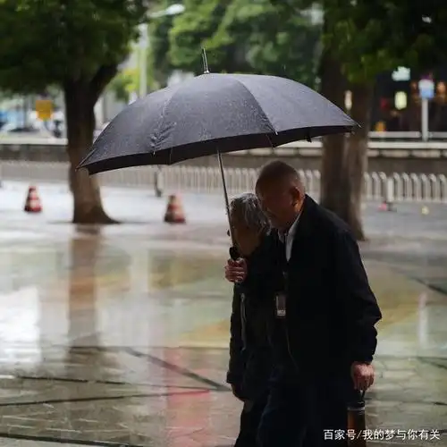 你要我为你遮风挡雨,那你得把我高高举起
