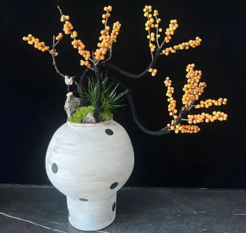 北美冬青 #精品盆景.#北美冬青 全新品种,神奇梦幻&冬日 - 抖音