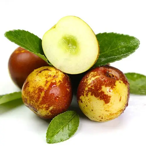 【精选s级】现货山东沾化新鲜冬枣水果鲜枣大枣子青红枣孕妇当季5/3/1