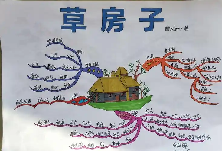 同学们精心制作的思维导图闪耀着思想的火花.