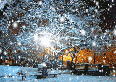 392_278gif 动态图 动图