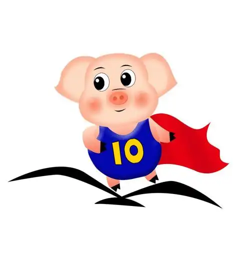 吉祥物以"猪"为设计原型结合"云纹,水纹,如意"等元素形成可爱的卡通