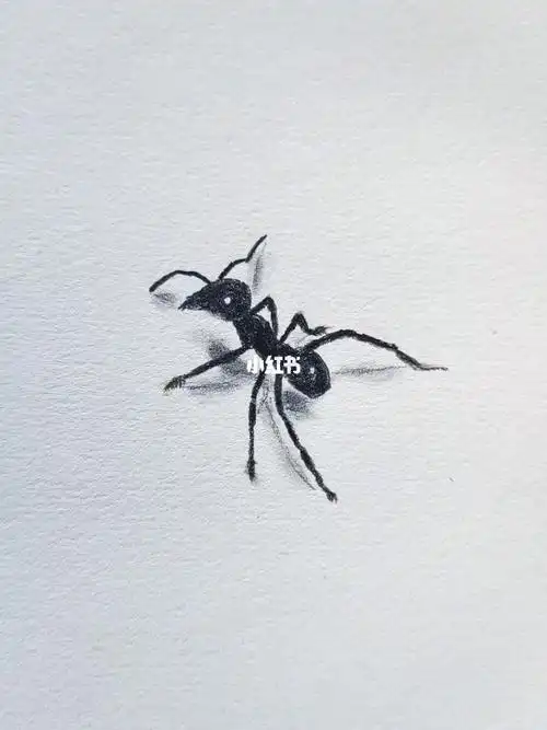 红蚂蚁简笔画素描