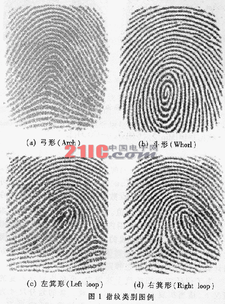 利用中心点信息的活体指纹分类算法