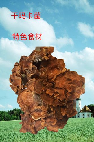 云南玛卡菌咖食用菌干货2019年新货煲汤餐厅酒楼松茸