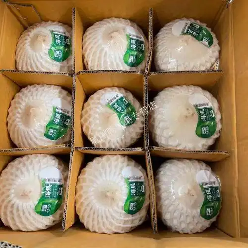 泰国海风椰青水果码头香椰整箱9个新鲜椰子天然饮料【配开椰器吸管】
