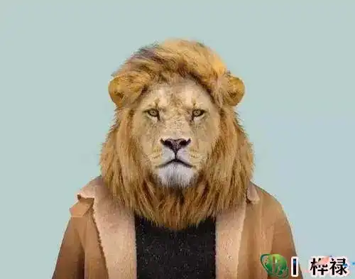 不怒自威的男人面相