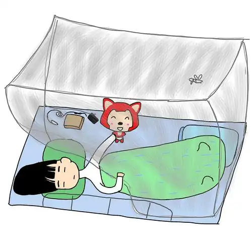 蚊帐里进了一只蚊子后