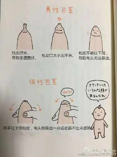 让我悄悄地告诉你,那些小鸡鸡的故事—写给0-9岁妈妈们(上)