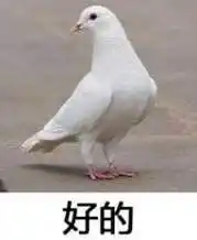 好的 - 咕咕咕鸽子表情包系列_鸽子表情