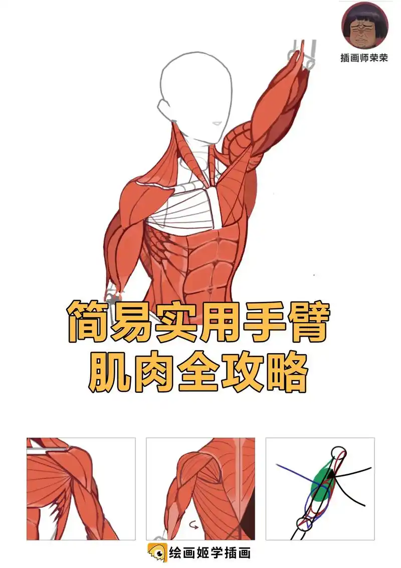 简单实用的手臂肌肉全攻略,冲!#插画教程 #插画小技巧 # - 抖音