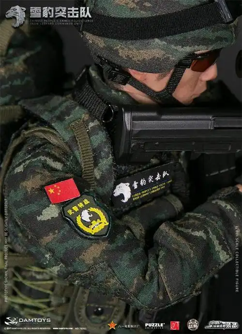 接单 御车族 damtoys dam 1/6兵人 78052 中国雪豹突击队 队员