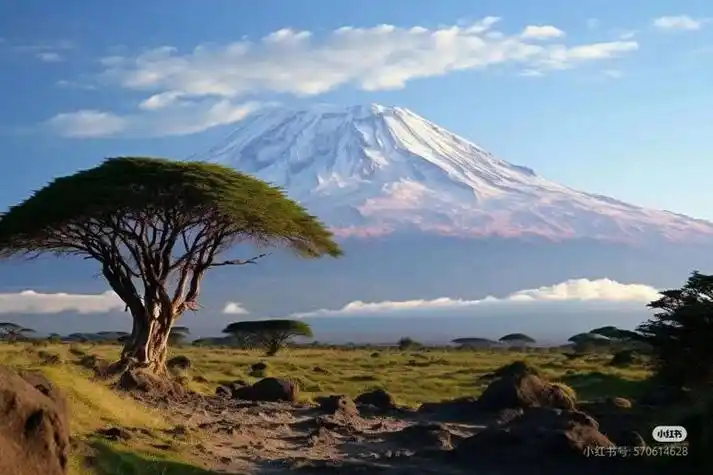 撒哈拉以南的非洲