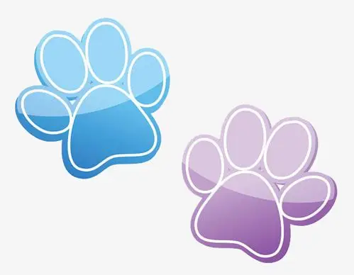 果冻效果兔子脚印图