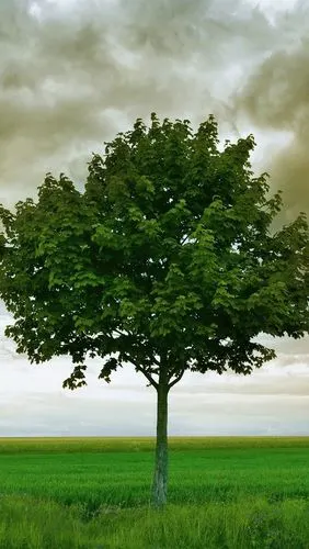 640_1136竖版 竖屏