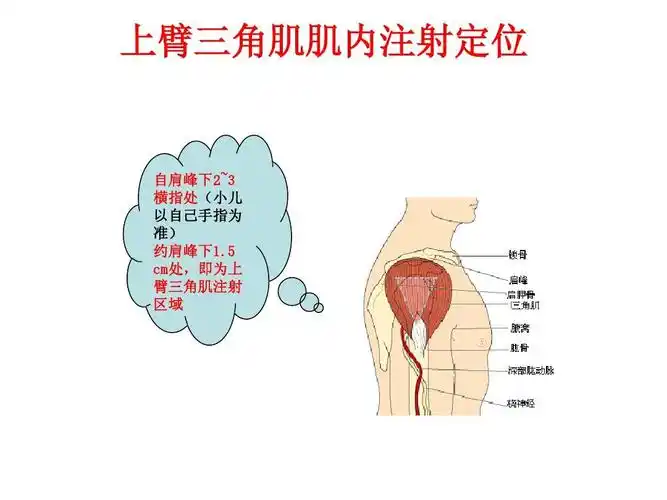 小儿肌肉注射ppt