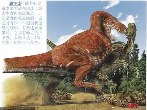 走进恐龙时代ppt