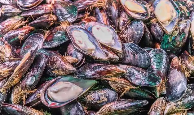 2月,别忘吃"开春第一鲜",10元5斤,鲜香美味,人人吃的!