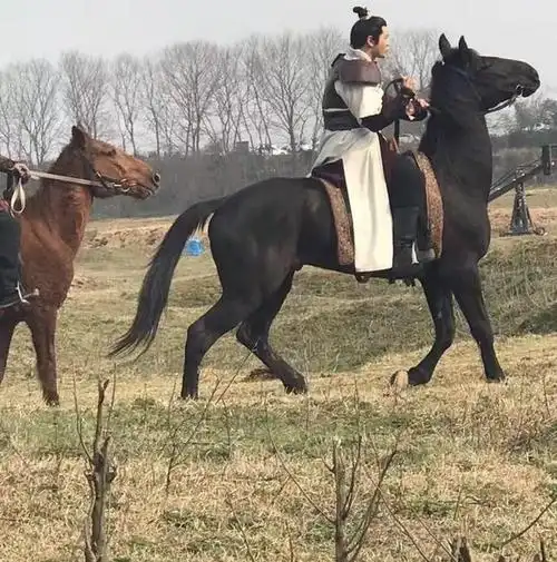 《琅琊榜2》黄晓明一身古装扮相骑着马相当帅气