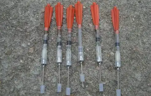 今天早晨在家门口的路上捡到的,有没有大神知道这是什么东西?