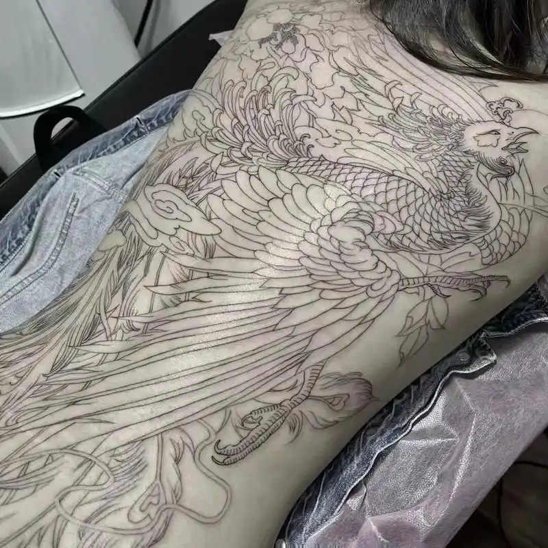 成都纹身 满背纹身 凤凰纹身 传统纹身 小姐姐传统凤凰线条 贼有勇气