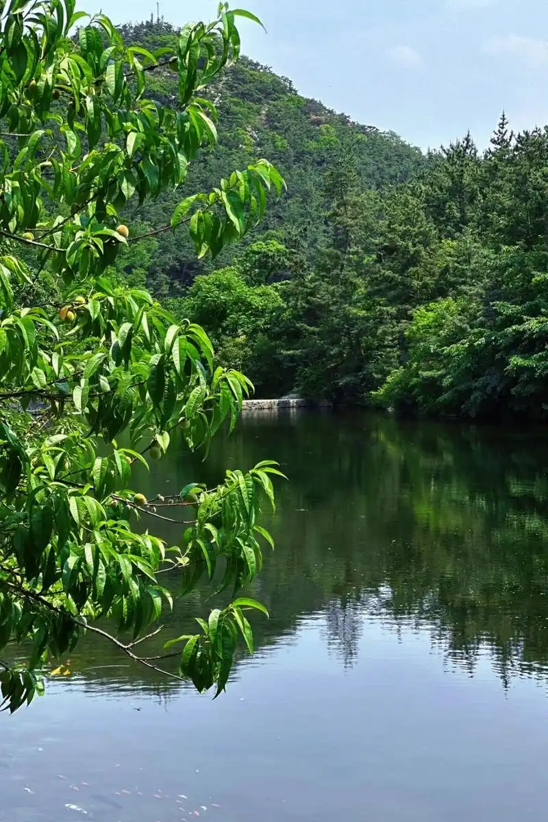 烟台昆嵛山真的是周末放松休闲的好去处 昆嵛山无染寺 水好清 还很