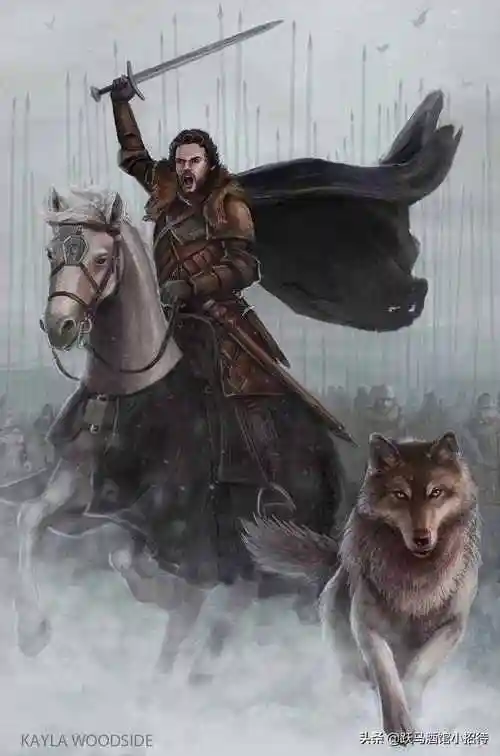 罗柏史塔克几个关于少狼主罗柏史塔克的可怕推测