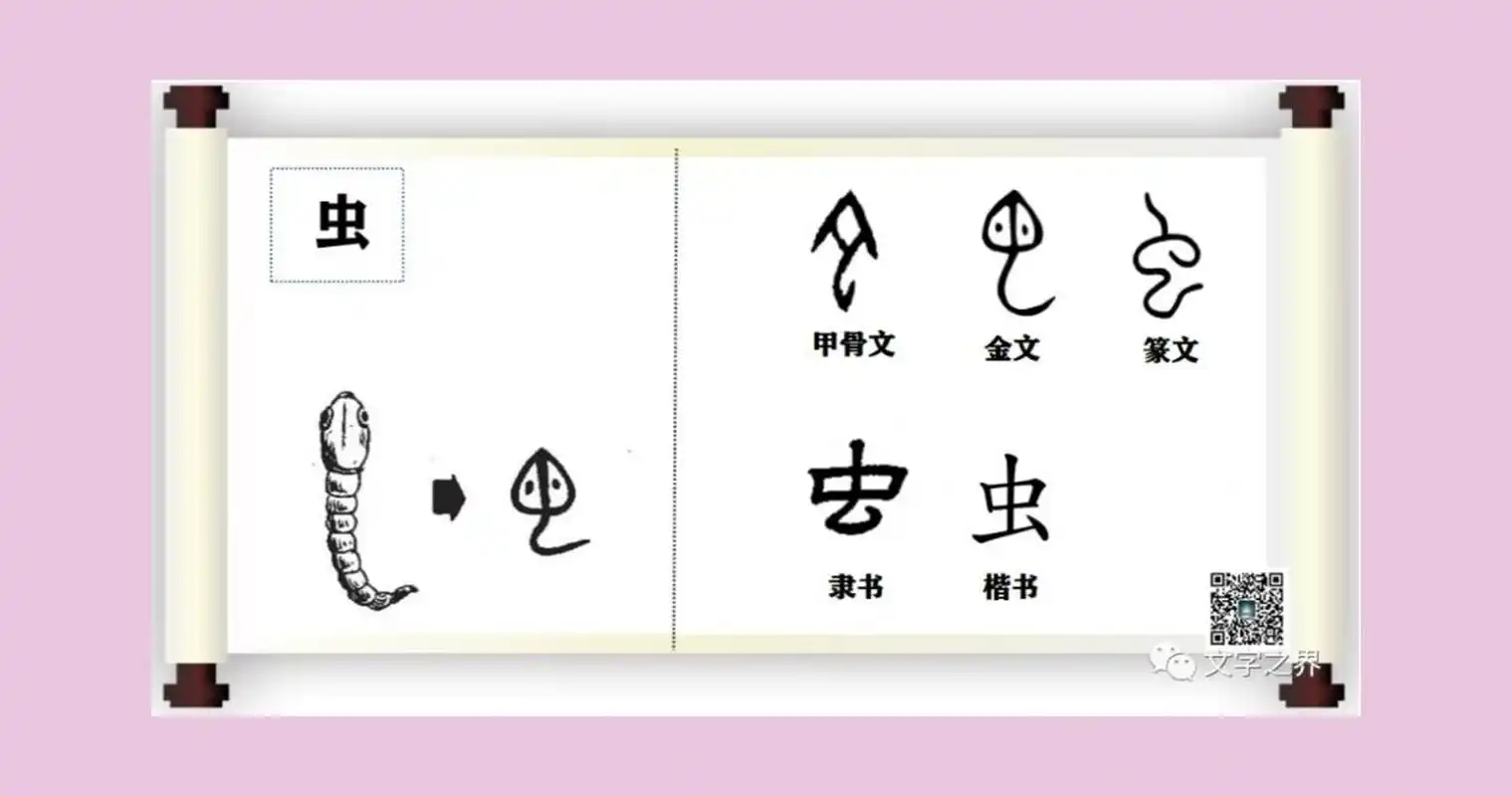 尖尖的脑袋,连接弯弯的细长形虫身,就像是一条虫的形状.