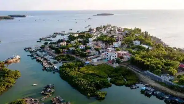 2006280702环雷州半岛乌石镇南极村徐闻盐田菠萝的海霞山红树林观白鹭