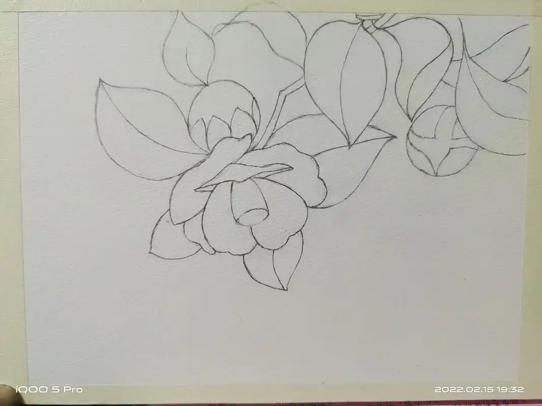 团练第六课 山茶花#水彩 #水彩手绘  - 抖音